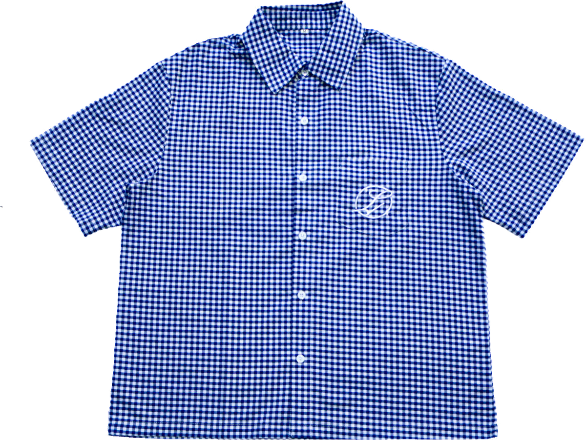 Blue plaid shirt